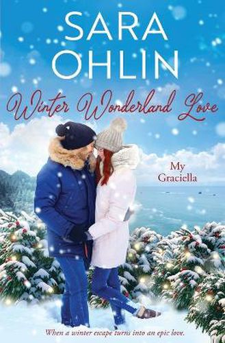 Cover image for Winter Wonderland Love