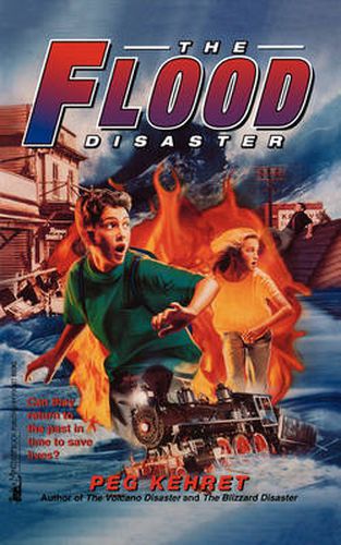 Cover image for The Flood Disaster