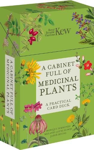 A Cabinet Full of Medicinal Plants