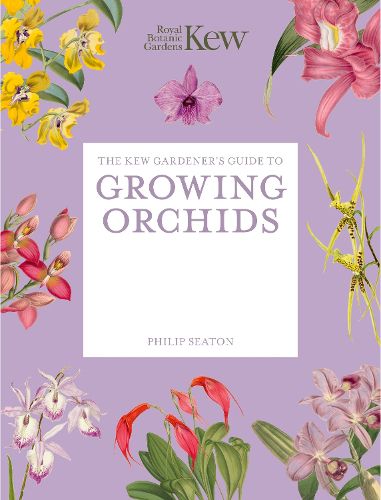 Cover image for The Kew Gardener's Guide to Growing Orchids