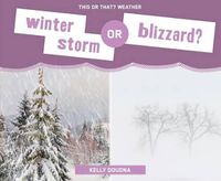 Cover image for Winter Storm or Blizzard?