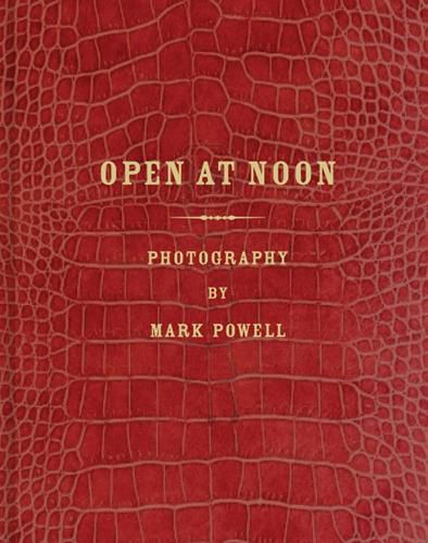 Cover image for Open at Noon: Mark Alor Powell