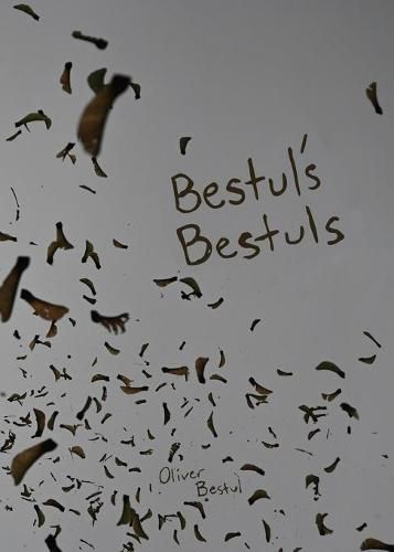 Cover image for Bestul's Bestuls