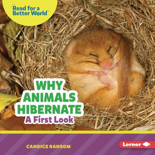 Cover image for Why Animals Hibernate