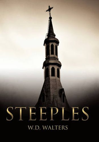 Cover image for Steeples