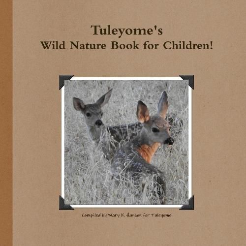 Cover image for Tuleyome's Wild Nature Book!