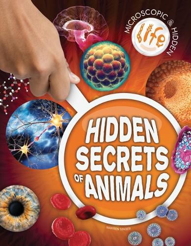 Cover image for Hidden Secrets of Animals