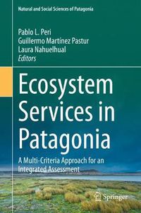Cover image for Ecosystem Services in Patagonia: A Multi-Criteria Approach for an Integrated Assessment