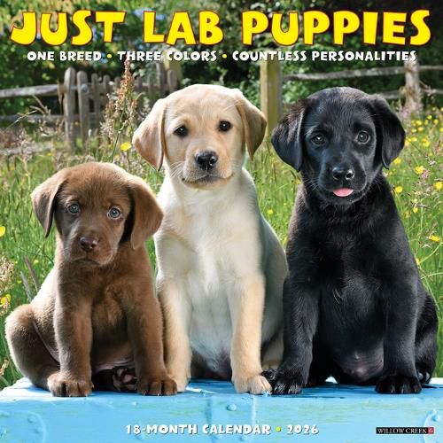 Cover image for Lab Puppies 2026 12 X 12 Wall Calendar