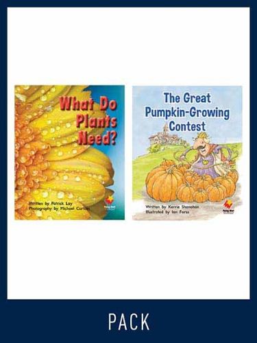 Cover image for Flying Start Guided Reading Pack Level 14, Pack 2: Paired student books (6x6) and lesson plan (1)