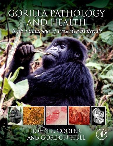 Gorilla Pathology and Health: With a Catalogue of Preserved Materials