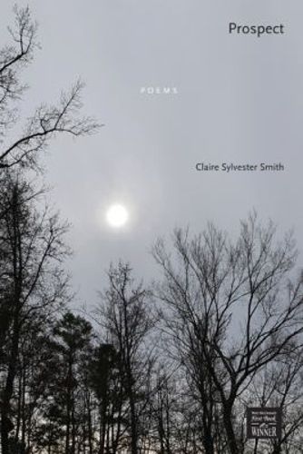 Cover image for Prospect: Poems