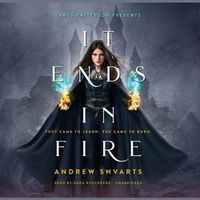 Cover image for It Ends in Fire