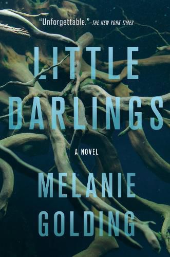 Cover image for Little Darlings: A Novel