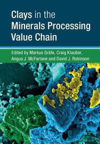 Cover image for Clays in the Minerals Processing Value Chain