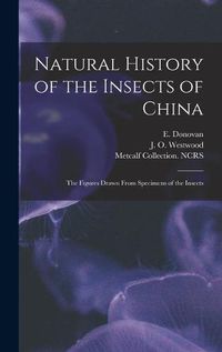 Cover image for Natural History of the Insects of China: the Figures Drawn From Specimens of the Insects