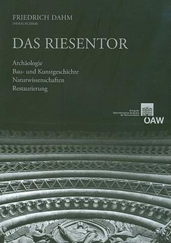 Cover image for Das Riesentor: Archaologie - Bau- Und Kunstgeschichte - Naturwissenschaften - Restaurierung