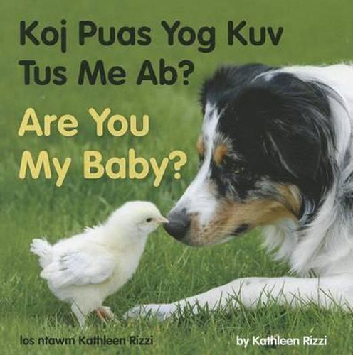 Cover image for Are You My Baby? (Hmong/English)