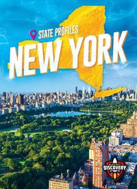 Cover image for State Profiles: New York