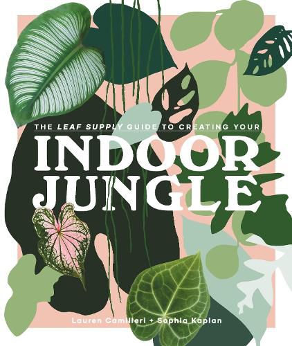 Cover image for The Leaf Supply Guide to Creating Your Indoor Jungle