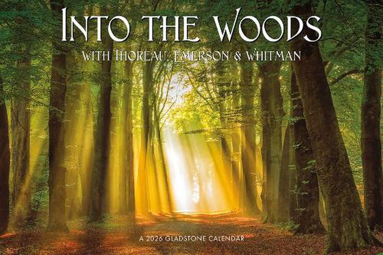 Cover image for Into the Woods