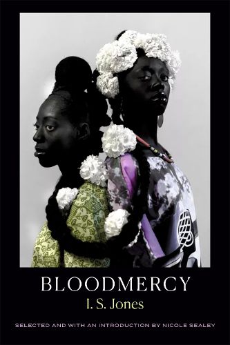 Cover image for Bloodmercy