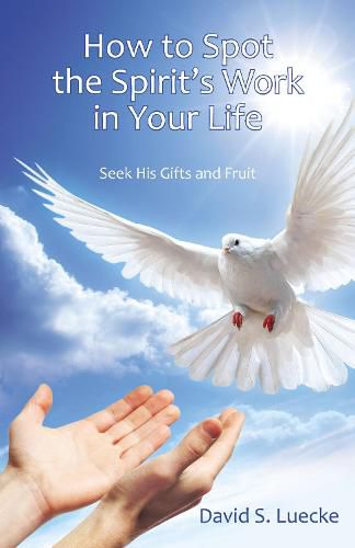 Cover image for How to Spot the Spirit's Work in Your Life: Seek His Gifts and Fruit