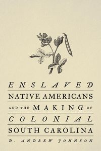 Cover image for Enslaved Native Americans and the Making of Colonial South Carolina