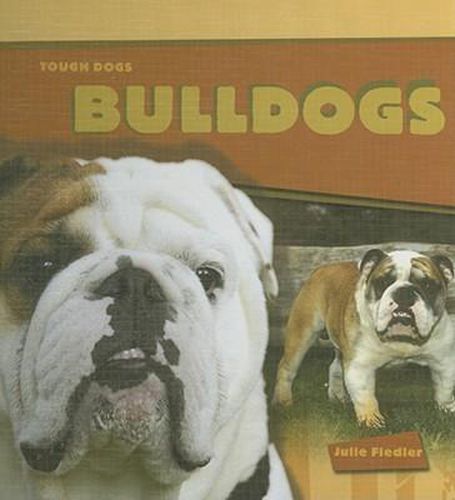 Cover image for Bulldogs