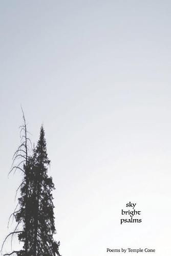 Cover image for sky bright psalms