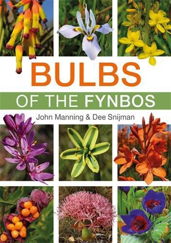 Cover image for Bulbs of the Fynbos