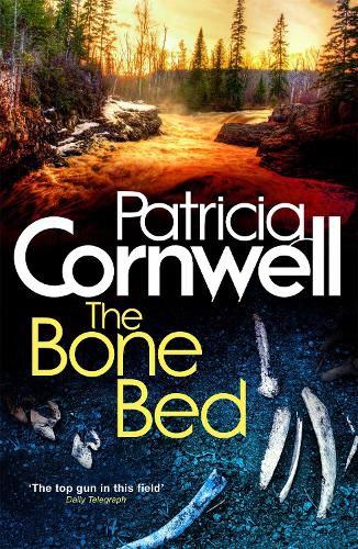 Cover image for The Bone Bed