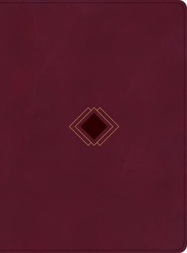 CSB Day-by-Day Chronological Bible, Burgundy LeatherTouch