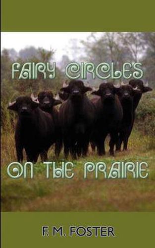 Cover image for Fairy Circles on the Prairie