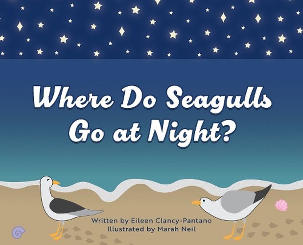 Cover image for Where Do Seagulls Go at Night?