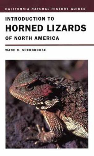 Cover image for Introduction to Horned Lizards of North America