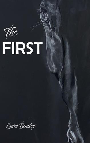Cover image for The First