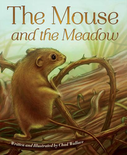 Cover image for The Mouse and the Meadow