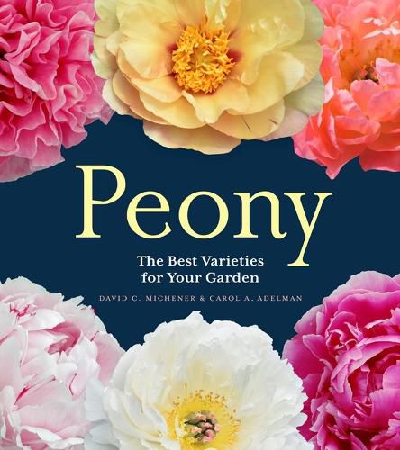 Cover image for Peony: The Best Varieties for Your Garden