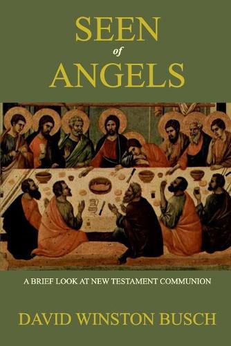 Cover image for Seen of Angels