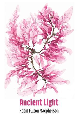 Cover image for Ancient Light