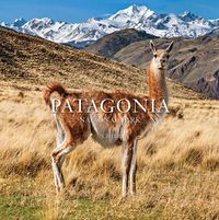 Cover image for Patagonia National Park: Chile