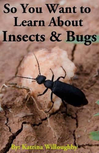 Cover image for So You Want to Learn About Insects & Bugs