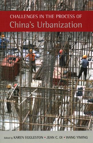 Cover image for Challenges in the Process of China's Urbanization