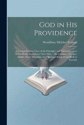 Cover image for God in His Providence
