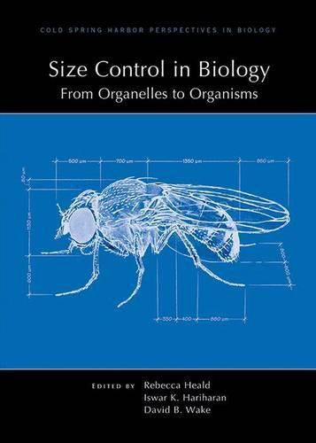 Cover image for Size Control in Biology: From Organelles to Organisms