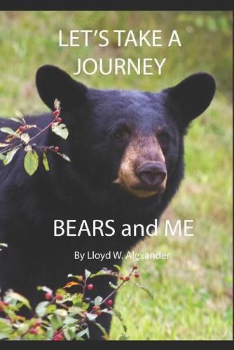 Let's Take A Journey: Bears and ME