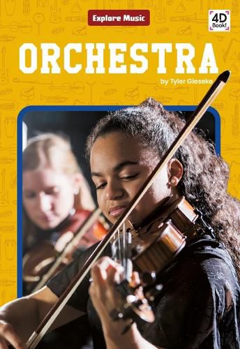 Cover image for Orchestra
