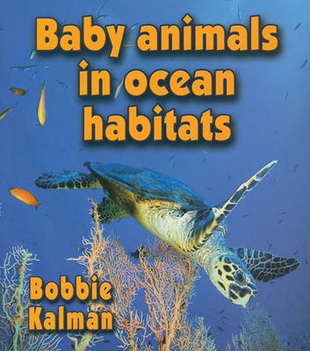 Cover image for Baby Animals in Ocean Habitats