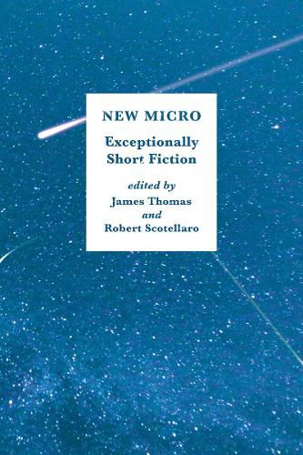 Cover image for New Micro: Exceptionally Short Fiction